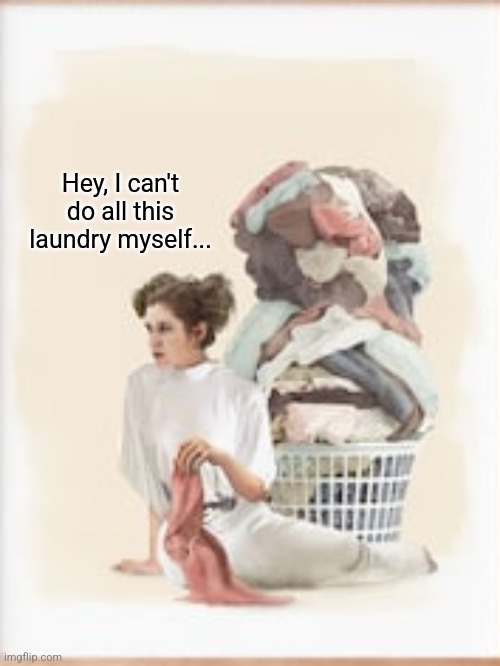 Hey, I can't do all this laundry myself... | made w/ Imgflip meme maker