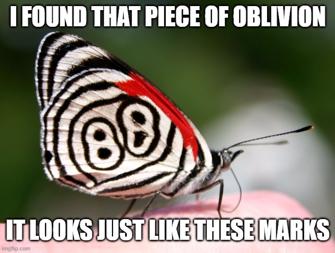 Puzzle Solver Butterfly | I FOUND THAT PIECE OF OBLIVION IT LOOKS JUST LIKE THESE MARKS | image tagged in puzzle solver butterfly | made w/ Imgflip meme maker