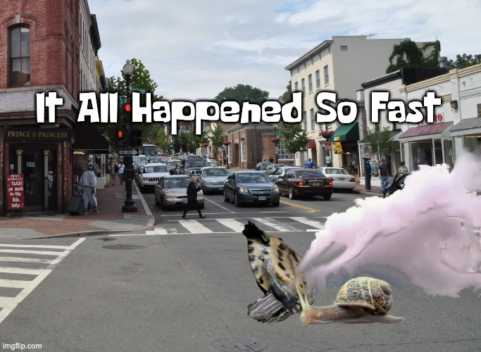 Mr. Turtle, Tell Us How You Were T-Boned | lt All Happened So Fast | image tagged in so fast,turtle,snail | made w/ Imgflip meme maker