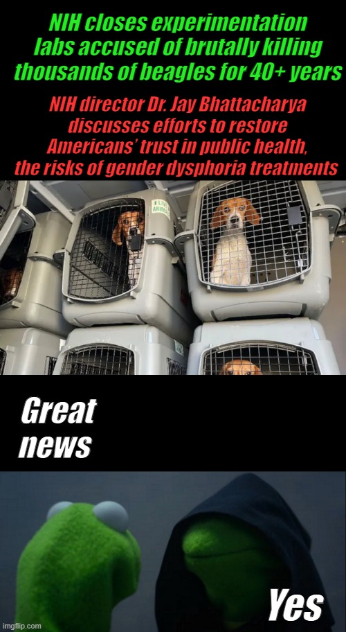 NIH closes experimentation labs accused of brutally killing thousands of beagles for 40+ years; NIH director Dr. Jay Bhattacharya discusses efforts to restore Americans’ trust in public health, the risks of gender dysphoria treatments; Great news; Yes | image tagged in memes,evil kermit | made w/ Imgflip meme maker