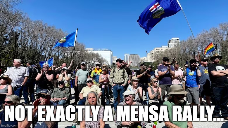 canada politics | NOT EXACTLY A MENSA RALLY... | image tagged in political meme | made w/ Imgflip meme maker