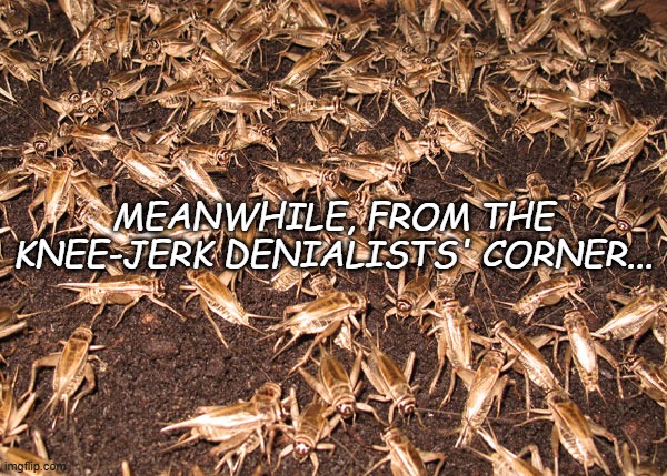 crickets | MEANWHILE, FROM THE KNEE-JERK DENIALISTS' CORNER... | image tagged in crickets | made w/ Imgflip meme maker