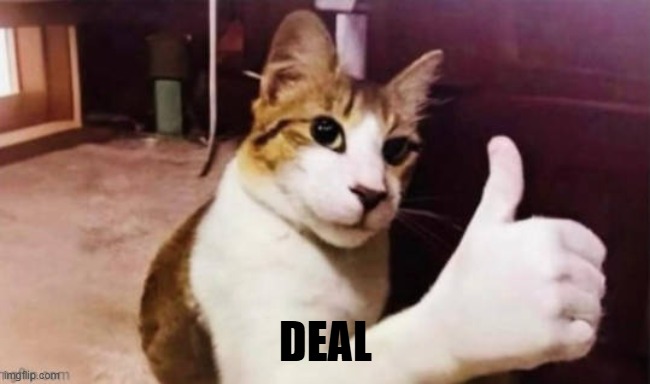 DEAL | made w/ Imgflip meme maker