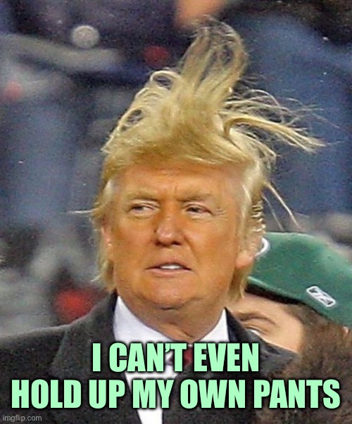 Donald Trumph hair | I CAN’T EVEN HOLD UP MY OWN PANTS | image tagged in donald trumph hair | made w/ Imgflip meme maker