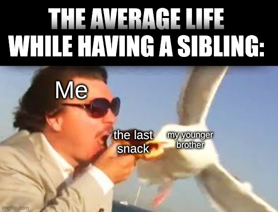 Sometimes its fun, sometimes its just... this. | THE AVERAGE LIFE WHILE HAVING A SIBLING:; Me; the last
snack; my younger
brother | image tagged in swiping seagull,funny memes | made w/ Imgflip meme maker