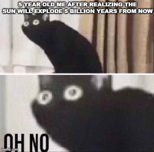 Oh no cat | 5 YEAR OLD ME AFTER REALIZING THE SUN WILL EXPLODE 5 BILLION YEARS FROM NOW | image tagged in oh no cat | made w/ Imgflip meme maker