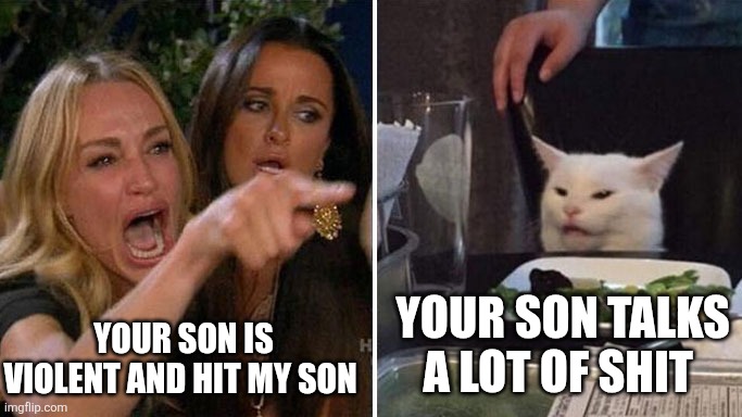 Parenting 101 | YOUR SON IS VIOLENT AND HIT MY SON; YOUR SON TALKS A LOT OF SHIT | image tagged in angry lady cat,mom,can't argue with that / technically not wrong | made w/ Imgflip meme maker