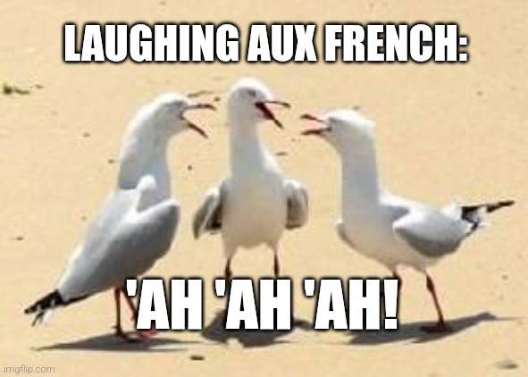 laughing seagulls | LAUGHING AUX FRENCH: 'AH 'AH 'AH! | image tagged in laughing seagulls | made w/ Imgflip meme maker