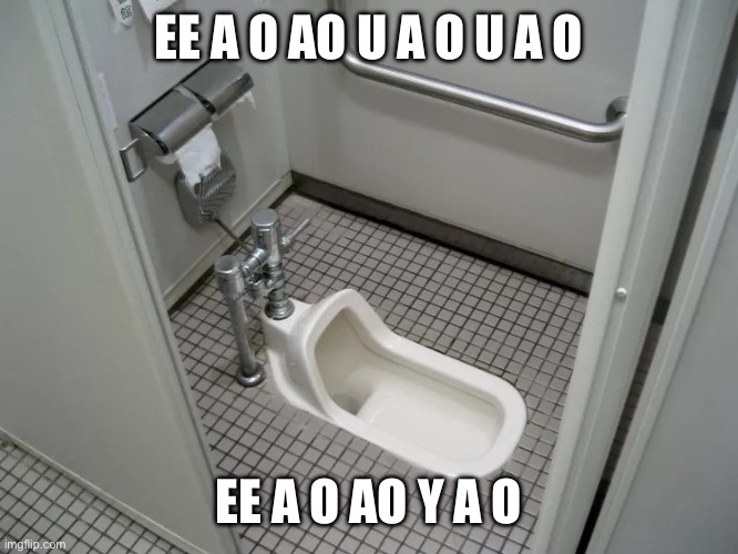 Its a binomi reference | EE A O AO U A O U A O; EE A O AO Y A O | image tagged in squat toilet | made w/ Imgflip meme maker