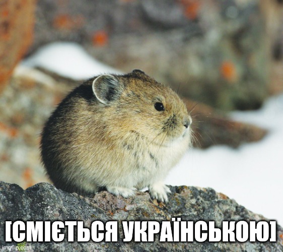 Tseyvo | [СМІЄТЬСЯ УКРАЇНСЬКОЮ] | image tagged in tseyvo | made w/ Imgflip meme maker