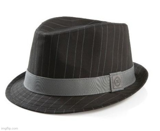 Logic Fedora | image tagged in logic fedora | made w/ Imgflip meme maker