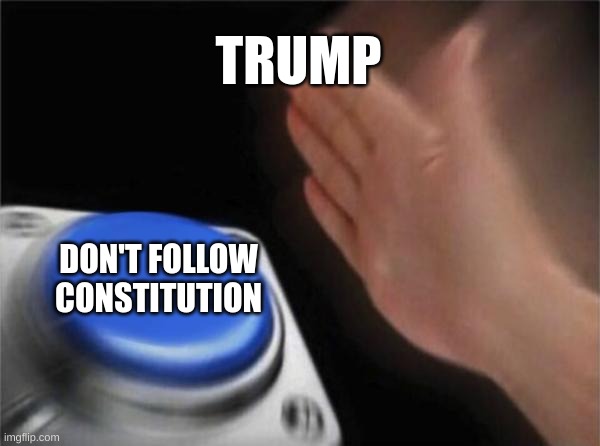 for real tho | TRUMP; DON'T FOLLOW CONSTITUTION | image tagged in memes,blank nut button,politics | made w/ Imgflip meme maker