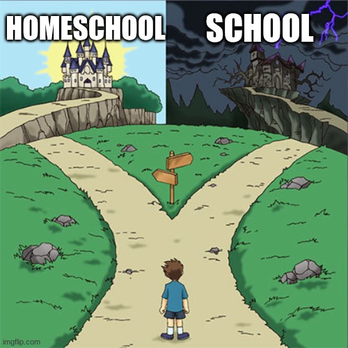School | SCHOOL; HOMESCHOOL | image tagged in two paths | made w/ Imgflip meme maker