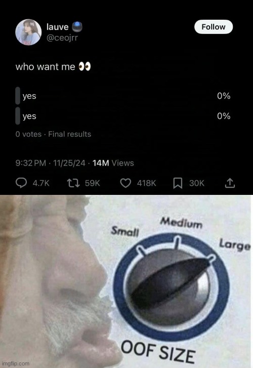 I love how 14 MILLION people had the same idea | image tagged in oof size large,insult | made w/ Imgflip meme maker