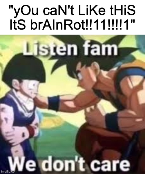 It's just a passion project dude, stop taking a temper tantrum over pixels on a screen. | "yOu caN't LiKe tHiS ItS brAInRot!!11!!!!1" | image tagged in listen fam we don't care | made w/ Imgflip meme maker