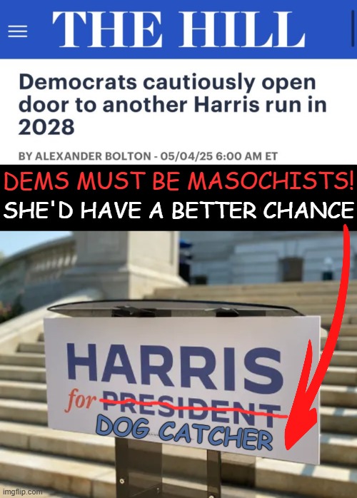 One thing we all can agree on....Kamala is a loser! | DEMS MUST BE MASOCHISTS! SHE'D HAVE A BETTER CHANCE; DOG CATCHER | image tagged in kamala harris,loser,election,poor choices,political humor | made w/ Imgflip meme maker