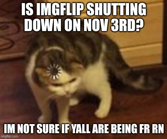 Im confused | IS IMGFLIP SHUTTING DOWN ON NOV 3RD? IM NOT SURE IF YALL ARE BEING FR RN | image tagged in loading cat,help,featured | made w/ Imgflip meme maker