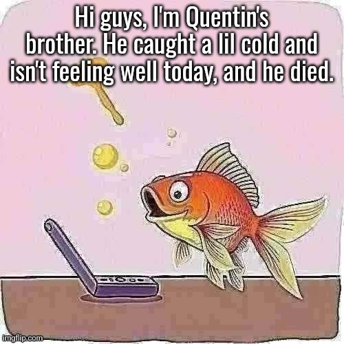 Goldfish cheering at flip phone | Hi guys, I'm Quentin's brother. He caught a lil cold and isn't feeling well today, and he died. | image tagged in goldfish cheering at flip phone | made w/ Imgflip meme maker