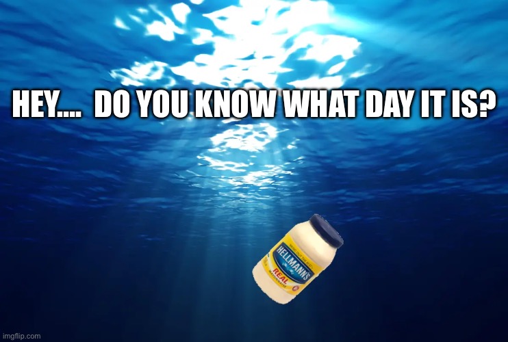 Cinco de mayo | HEY….  DO YOU KNOW WHAT DAY IT IS? | image tagged in cinco de mayo,mayonnaise,ocean,funny | made w/ Imgflip meme maker