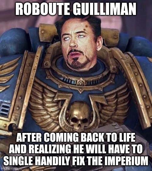 Robert Downey Face Warhammer 40k | ROBOUTE GUILLIMAN AFTER COMING BACK TO LIFE AND REALIZING HE WILL HAVE TO SINGLE HANDILY FIX THE IMPERIUM | image tagged in robert downey face warhammer 40k | made w/ Imgflip meme maker