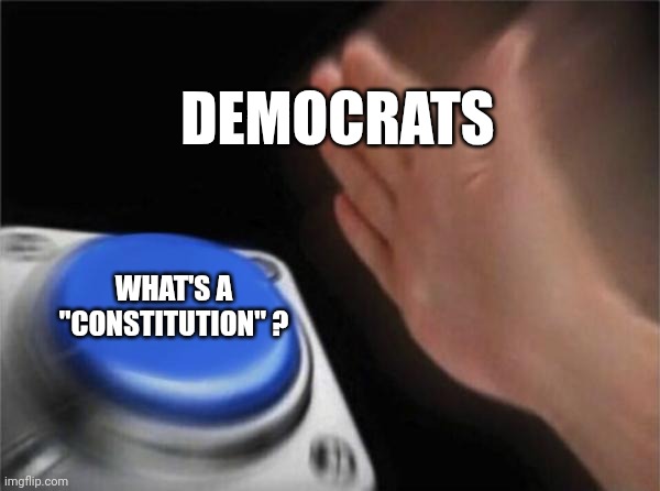 Blank Nut Button Meme | DEMOCRATS WHAT'S A "CONSTITUTION" ? | image tagged in memes,blank nut button | made w/ Imgflip meme maker