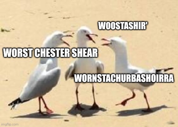 laughing seagulls | WOOSTASHIR' WORST CHESTER SHEAR WORNSTACHURBASHOIRRA | image tagged in laughing seagulls | made w/ Imgflip meme maker