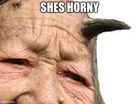 HORNY WOMAN | SHES HORNY | made w/ Imgflip meme maker