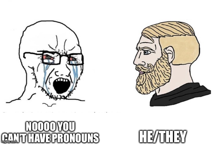 Soyboy Vs Yes Chad | NOOOO YOU CAN’T HAVE PRONOUNS HE/THEY | image tagged in soyboy vs yes chad | made w/ Imgflip meme maker
