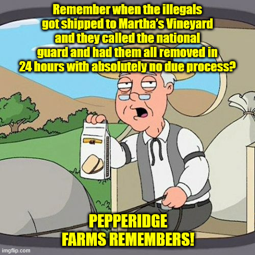 Pepperidge Farm Remembers Meme | Remember when the illegals got shipped to Martha’s Vineyard and they called the national guard and had them all removed in 24 hours with absolutely no due process? PEPPERIDGE FARMS REMEMBERS! | image tagged in memes,pepperidge farm remembers | made w/ Imgflip meme maker