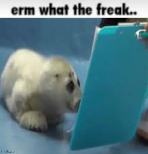 erm what the freak.. | image tagged in erm what the freak | made w/ Imgflip meme maker