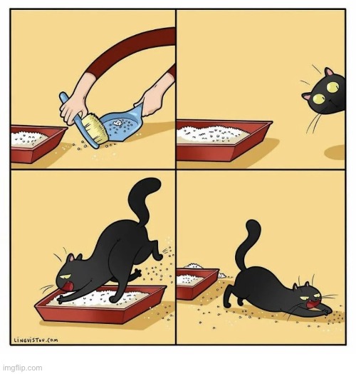 image tagged in cats,litter box,messy | made w/ Imgflip meme maker