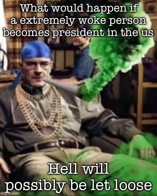 Waltuh | What would happen if a extremely woke person becomes president in the us; Hell will possibly be let loose | image tagged in waltuh,msmg | made w/ Imgflip meme maker