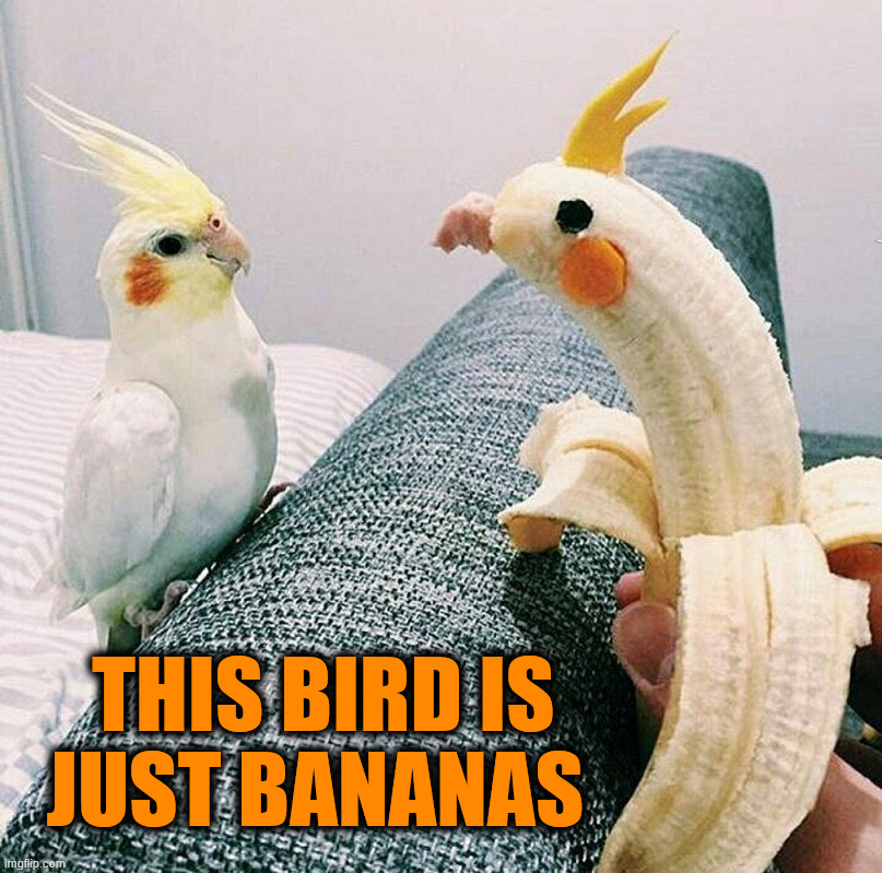 Birb | THIS BIRD IS JUST BANANAS | image tagged in eyeroll | made w/ Imgflip meme maker