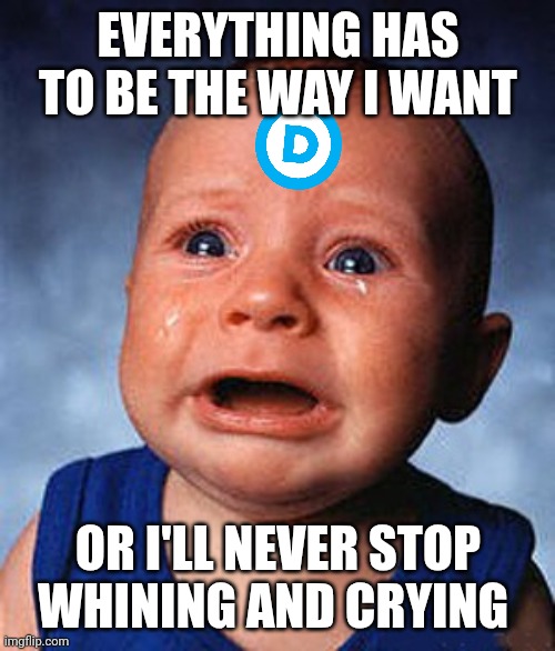 Crying baby  | EVERYTHING HAS TO BE THE WAY I WANT OR I'LL NEVER STOP WHINING AND CRYING | image tagged in crying baby | made w/ Imgflip meme maker
