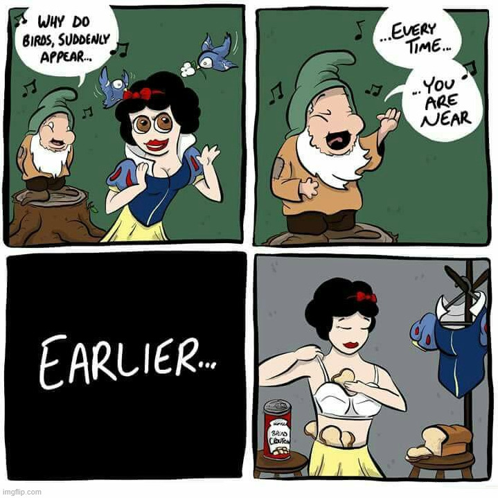 How snow white attracted birds | image tagged in snow white,comics/cartoons | made w/ Imgflip meme maker