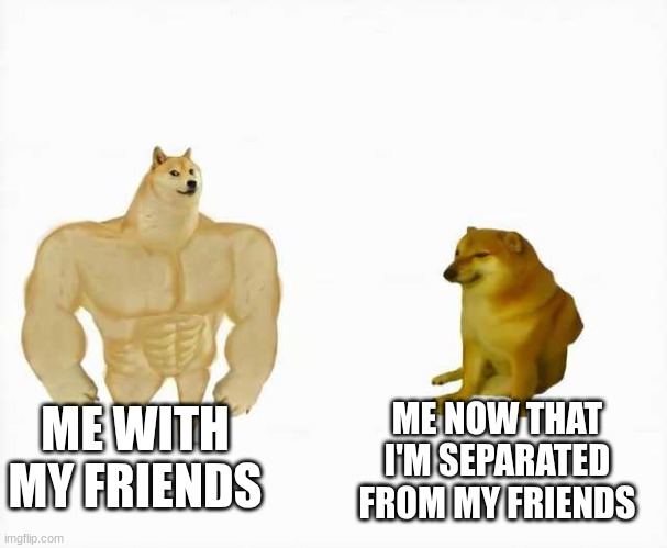 New Yet Classic Memes: :( | ME WITH MY FRIENDS; ME NOW THAT I'M SEPARATED FROM MY FRIENDS | image tagged in strong dog vs weak dog | made w/ Imgflip meme maker