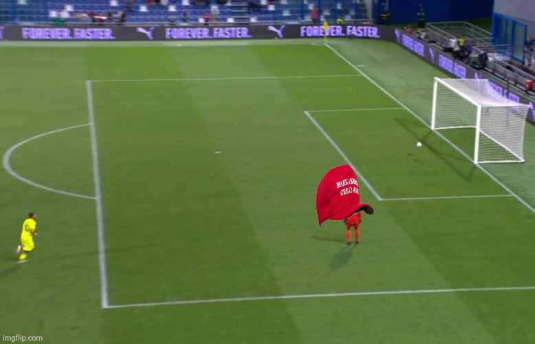 sad own goal | image tagged in sad own goal | made w/ Imgflip meme maker