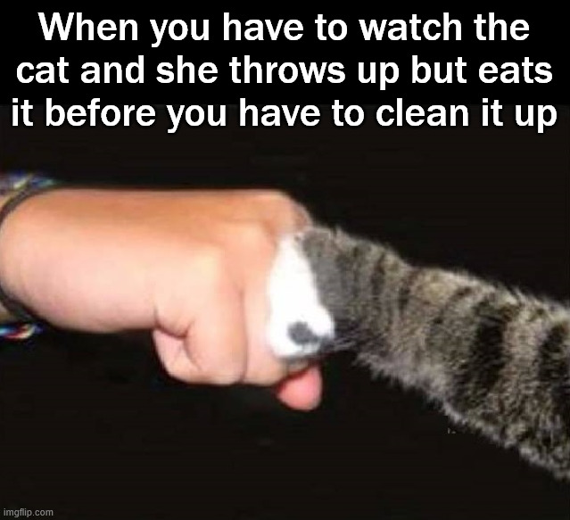 Like it never happened | When you have to watch the cat and she throws up but eats it before you have to clean it up | image tagged in watching | made w/ Imgflip meme maker