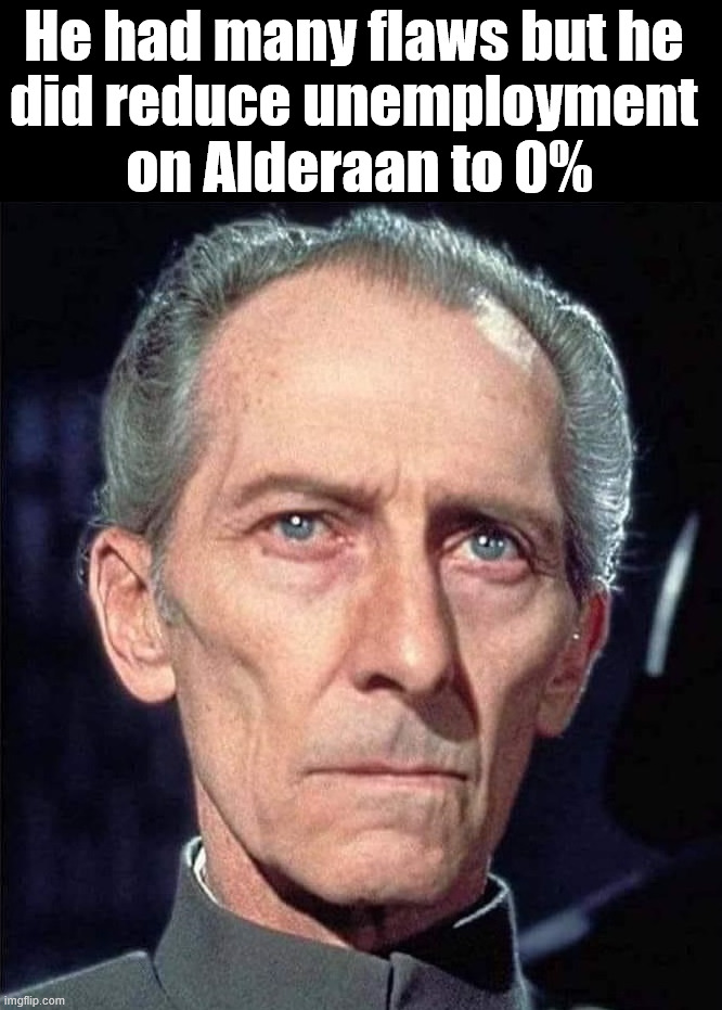 If you kill them all then everyone is employed | He had many flaws but he 
did reduce unemployment 
on Alderaan to 0% | image tagged in dark humor | made w/ Imgflip meme maker