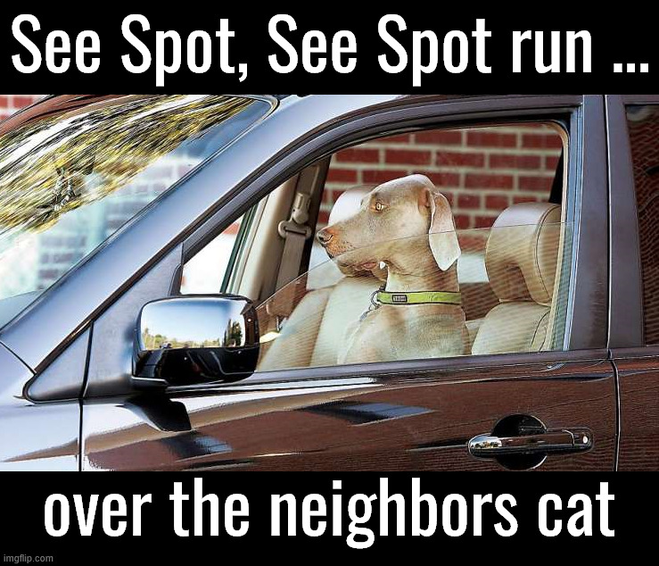 Kids book gone wrong | See Spot, See Spot run ... over the neighbors cat | image tagged in dark humor | made w/ Imgflip meme maker