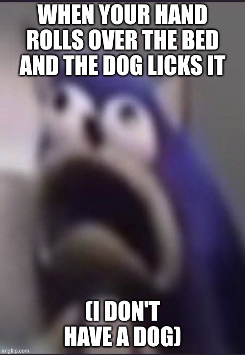 Charlie... OH SH** | WHEN YOUR HAND ROLLS OVER THE BED, AND THE DOG LICKS IT; (I DON'T HAVE A DOG) | image tagged in aughhhhhhhhhhhhhhhhhhh | made w/ Imgflip meme maker