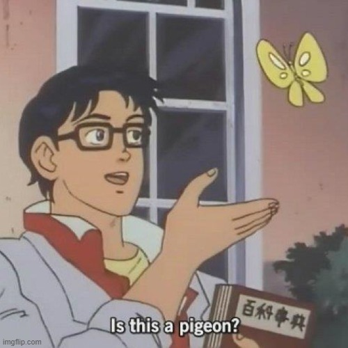 is this a pigeon? | image tagged in is this a pigeon | made w/ Imgflip meme maker