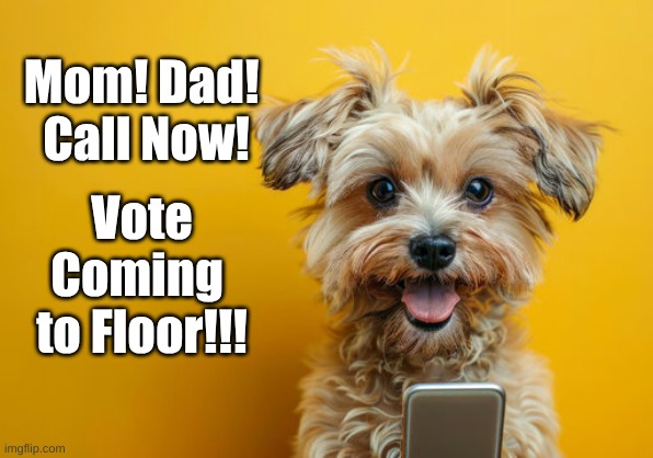 Call now, Fluff Pup | Mom! Dad! 
Call Now! Vote Coming 
to Floor!!! | image tagged in fluff pup,call now | made w/ Imgflip meme maker