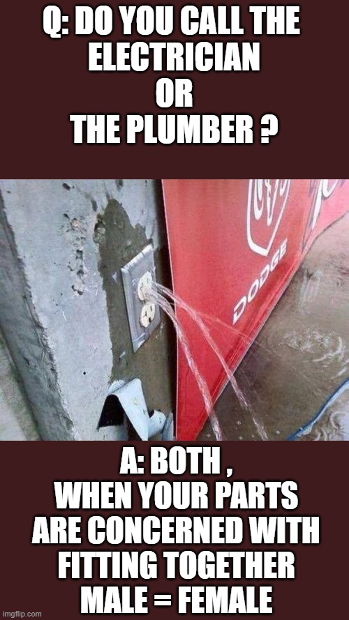 Electrician or plumber | Q: DO YOU CALL THE 
ELECTRICIAN
OR
THE PLUMBER ? A: BOTH ,
WHEN YOUR PARTS
ARE CONCERNED WITH
FITTING TOGETHER
MALE = FEMALE | image tagged in electrician or plumber | made w/ Imgflip meme maker