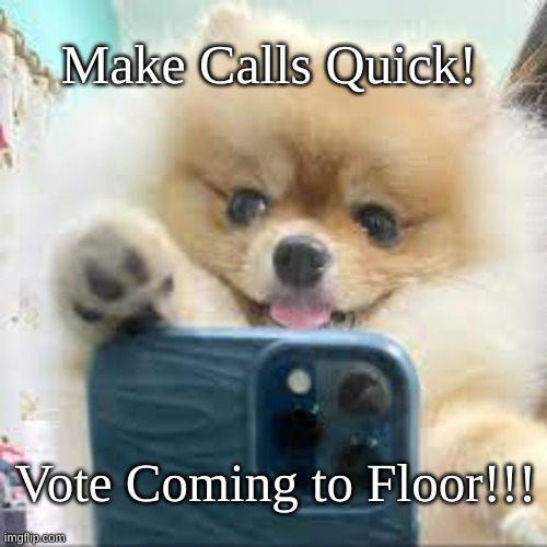 Pup Quick Call | Make Calls Quick! Vote Coming to Floor!!! | image tagged in vote coming to floor,pup call quick | made w/ Imgflip meme maker