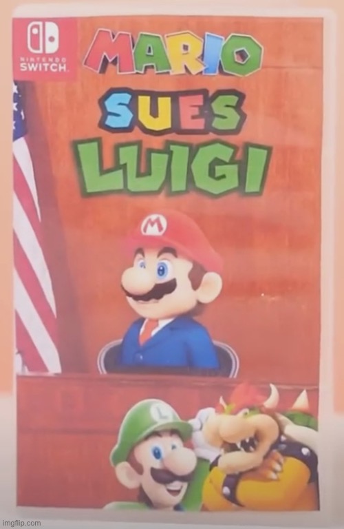 Mario Sues Luigi | image tagged in mario sues luigi,msmg | made w/ Imgflip meme maker