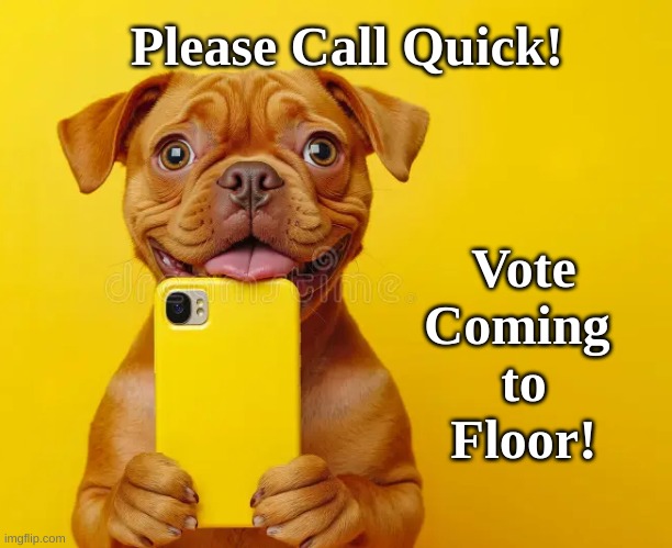 Yellow Pup Quick | Vote Coming 
to Floor! Please Call Quick! | image tagged in vote coming to floor,pup call quick | made w/ Imgflip meme maker
