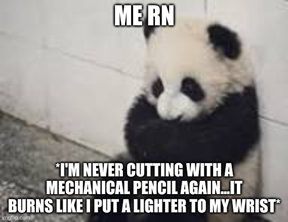 sad panda | ME RN; *I'M NEVER CUTTING WITH A MECHANICAL PENCIL AGAIN...IT BURNS LIKE I PUT A LIGHTER TO MY WRIST* | image tagged in sad panda | made w/ Imgflip meme maker