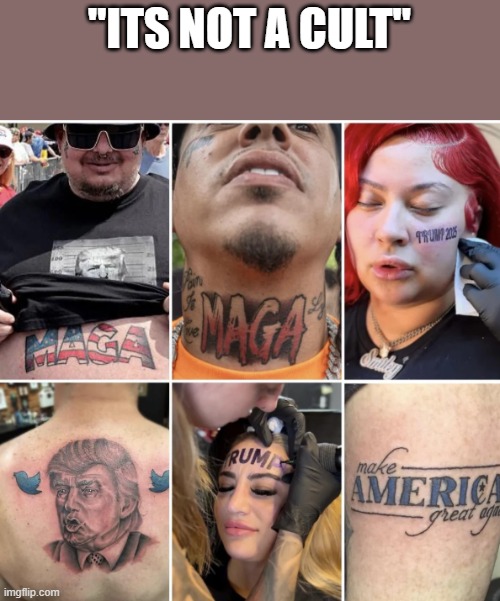 Yes, it is | "ITS NOT A CULT" | image tagged in cult | made w/ Imgflip meme maker