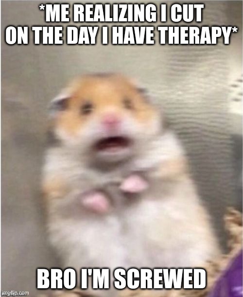 Scared Hamster | *ME REALIZING I CUT ON THE DAY I HAVE THERAPY*; BRO I'M SCREWED | image tagged in scared hamster | made w/ Imgflip meme maker